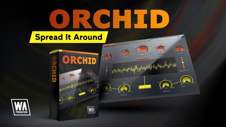 Orchid
